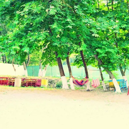 Luxury Camping Lili *